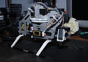 DSC07706